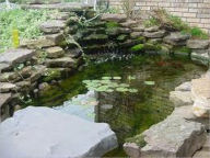 Title: How to Create a Garden Pond, Author: Harris