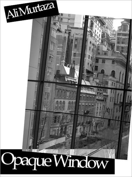 The Opaque Window
