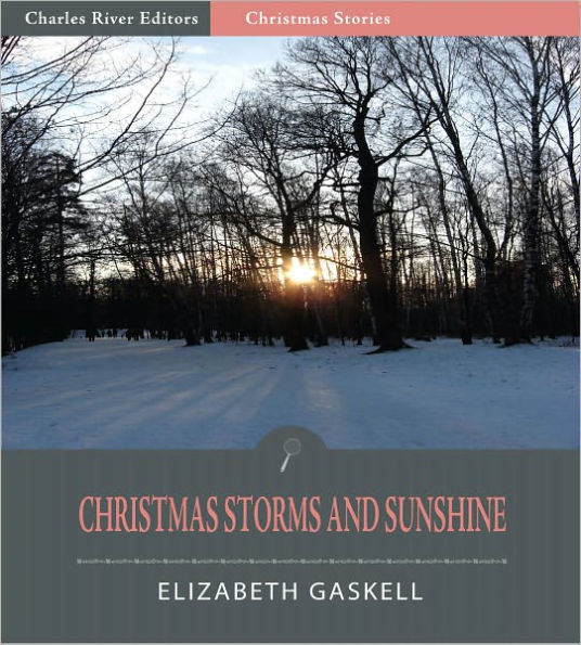 Christmas Storms and Sunshine (Illustrated)