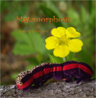 Title: Metamorphosis, Author: Natasha Guruleva