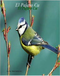 Amazon.com: El Ultimo Pajaro, La Ultima Piedra (Spanish
