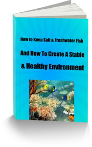 Title: How to Keep Salt & Freshwater Fish And How To Create A Stable & Healthy Environment, Author: Sandy Hall