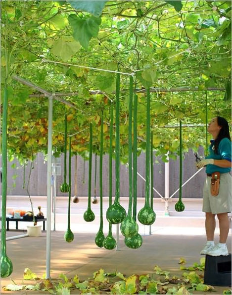 HYDROPONICS : Learn the FUTURE of Gardening!