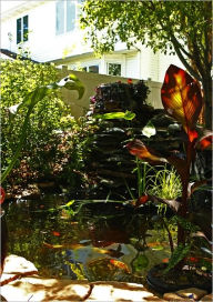 Title: How To Build A Beautiful Backyard Pond: And Have Fun Doing It!, Author: Bob Dorrend