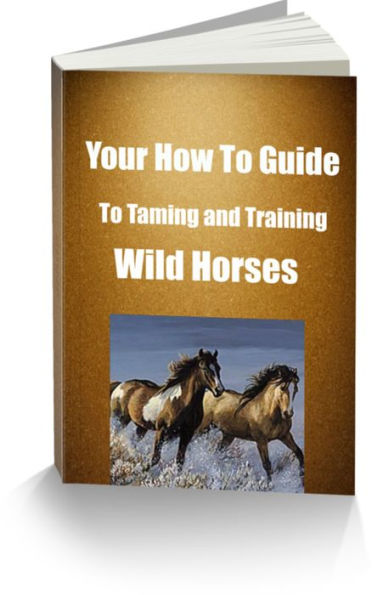 Your How To Guide To Taming and Training Wild Horses