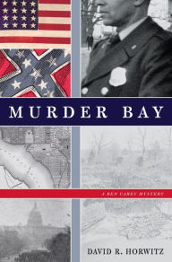 Title: Murder Bay: A Ben Carey Mystery, Author: David R. Horwitz