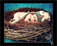 Title: Knitting Pattern Newborn Nest Photo Prop, Author: Judy Jewell
