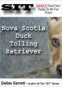 How To Train Your Nova Scotia Duck Tolling Retriever To Do Fun Tricks