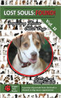 Lost Souls: FOUND! Inspiring Stories About Dogs Vol. II