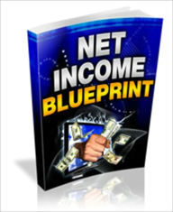 Title: Net Income Blueprint - How To Make Money In Your Spare Time, Author: Irwing