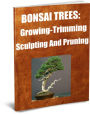 Learning How to Grow BONSAI TREES: Trimming, Sculpting And Pruning