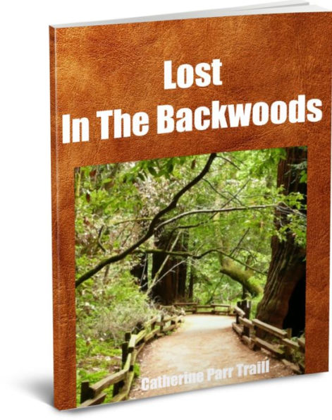 Lost in the Backwoods