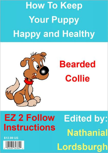 How To Keep Your Bearded Collie Happy and Healthy