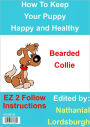 How To Keep Your Bearded Collie Happy and Healthy