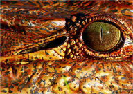 Title: EXOTIC PETS: CROCODILE, Author: Gabriela Serroga