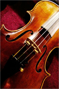 Title: THE BASICS OF VIOLINS: ANTIQUE, ELECTRIC, AND USED, Author: Pollien Rist