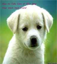 Title: How to Take Care of Your Dog:Your most loyal friend, Author: Captain Pierre