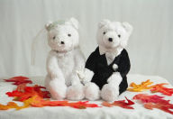 Title: TEDDY BEARS OFFER LOVE AND AFFECTION TO KIDS, Author: Gordon Douglas