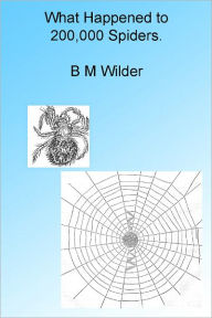 Title: What Happened to 200,000 Spiders Illustrated, Author: B M Wilder