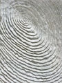 How to Hypnotize Yourself: Your Key to a Better You