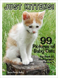 Title: 99 Pictures: Just Kitten Photos! Big Book of Baby Cat Photographs Vol. 1, Author: Big Book of Photos