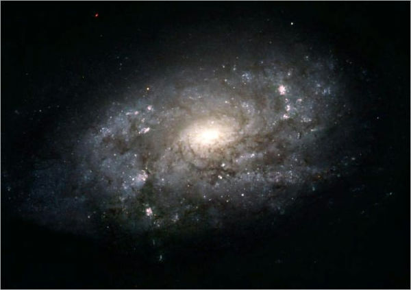Hubble Telescope Feature -Hubble Images Majestic Cousin of the Milky Way