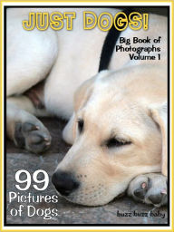 Title: 99 Pictures: Just Dog Photos! Big Book of Canine Photographs, Vol. 1, Author: Big Book of Photos