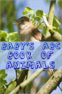Baby’s ABC Book of Animals
