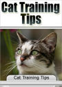 Cat Training Tips