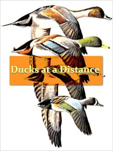 Ducks at a Distance: A Waterfowl Identification Guide [Illustrated]