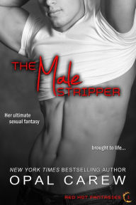 Title: The Male Stripper, Author: Opal Carew