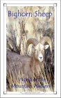 Bighorn Sheep: World of the Mountain Walkers