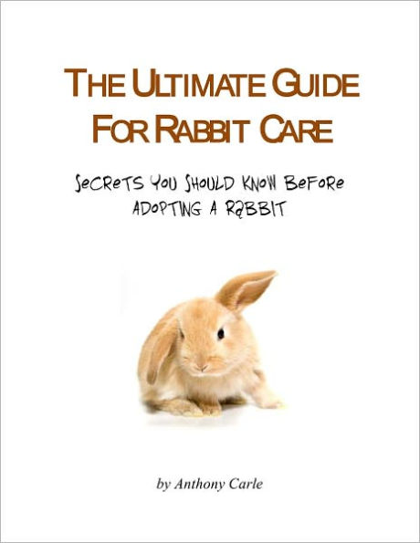 The Ultimate Guide for Rabbit Care