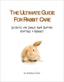 The Ultimate Guide for Rabbit Care