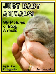 Title: 99 Pictures: Just Baby Animal Photos! Big Book of Baby Animal Photographs Vol. 1, Author: Big Book of Photos