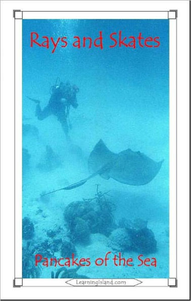 Rays and Skates: Pancakes of the Sea