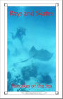 Rays and Skates: Pancakes of the Sea