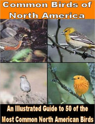 Title: Common Birds of North America: An Illustrated Guide to 50 of the Most Common North American Birds, Author: eBook Legend