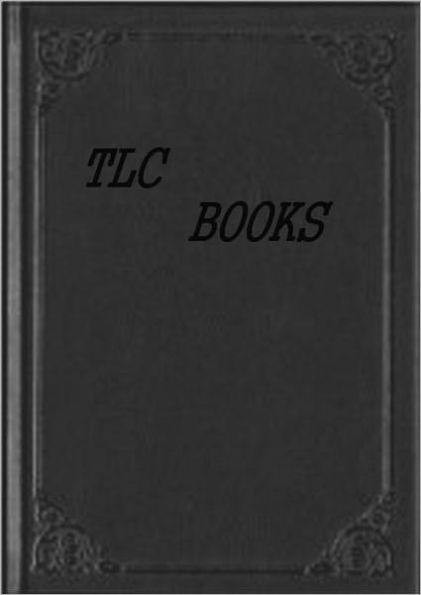 THE LOST MOUNTAIN (A YOUNG READER'S NOVEL)