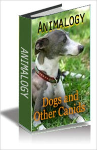 Title: ANIMALOGY: DOGS & OTHER CANIDS, Author: Bassam Imam