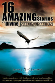 Title: 16 Amazing Stories of Divine Intervention, Author: James L. (