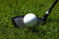 Title: Golf, Golf, GOLF!, Author: Black