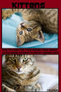 Kittens: How to Care For Your Babies From Sweet Little Angel Kittens to Finicky Senior Cats