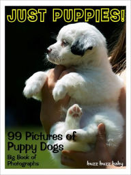 Title: 99 Pictures: Just Puppies Photos! Big Book of Puppy Dog Photographs Vol. 1, Author: Big Book of Photos