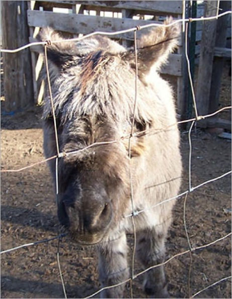 Fur Farming (Illustrated)