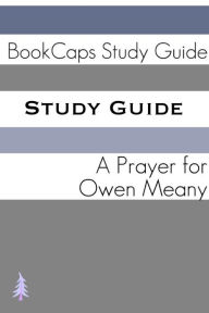 Title: Study Guide: A Prayer for Owen Meany (A BookCaps Study Guide), Author: Bookcaps