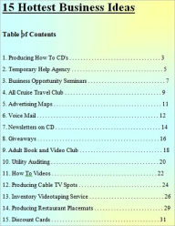 Title: 15 Hottest Business Ideas: Producing How To CD's,Temporary Help Agency,Business Opportunity Seminars,All Cruise Travel Club,Advertising Maps,Voice Mail,Newsletters on CD,Giveaways,Adult Book and Video Club,Utility Auditing,How To Videos,and more..., Author: eBook4Life