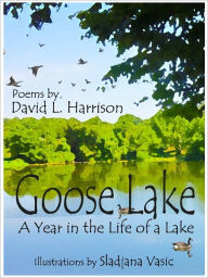 Title: Goose Lake, A Year in the Life of a Lake, Author: David L. Harrison