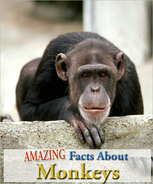 Amazing Facts About Monkeys! by Robert Jenson | NOOK Book (eBook ...