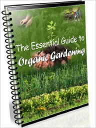 Title: Your Gardening Study Guide eBook- The Essential Guide To Organic Gardening - Growing Your Organic Vegetable Garden .., Author: Self Improvement